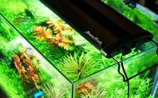 鱼缸防水照明灯-金水缸防水led灯
