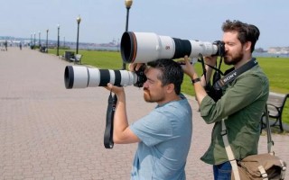 拍鸟的镜头有多少倍变焦-拍鸟相机镜头配置