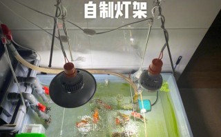 自制鱼缸灯架步骤及方法 diy鱼缸led灯板