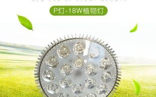 led灯能代替植物光照吗 led灯用来照植物