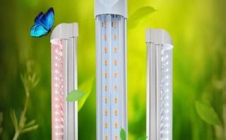 做植物照明公司 led植物灯招聘外贸