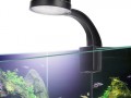 水族用led灯珠（水族led灯具）