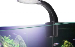 水族用led灯珠（水族led灯具）