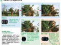 镜头焦距和光圈的作用-买镜头看焦距还是光圈