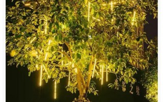 树灯带怎么绕在树上 树木led灯带效果