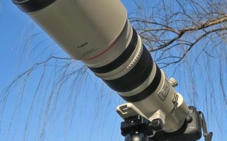 佳能镜头400mm f2·8定焦镜头配2倍三代增倍镜打鸟效果