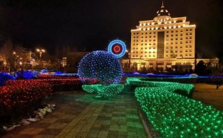 绥芬河led面光灯经销,绥芬河夜景哪里很美 