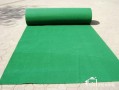 地毯绿色漂白后是什么颜色_绿色的地毯是什么地方
