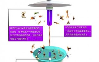  led灯诱虫吗「led灯招飞虫」