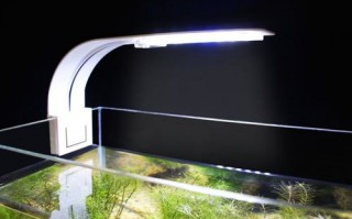 鱼缸灯led防水灯