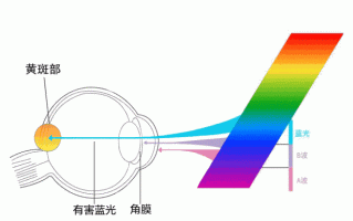 无蓝光灯珠和普通灯珠 led灯无蓝光危害