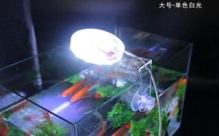  小鱼缸led灯小型「小鱼缸用led灯」