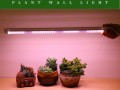 led植物灯智商税（led植物灯有用吗）