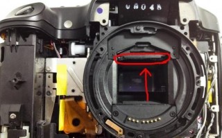 镜头的反光板,镜头反光板长菌丝怎么处理 