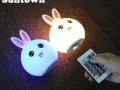 led发光兔子夜灯,兔子灯多少钱 