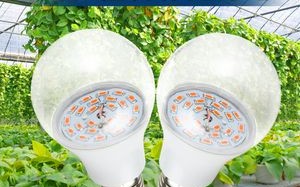 led种植灯代替太阳（led灯能代替阳光养花吗?）