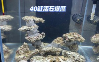 diy海水缸led灯