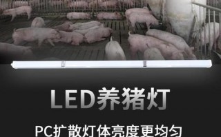 养猪场led灯_猪圈照明灯