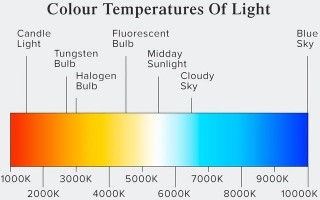 led黄灯和白灯（led黄灯和白灯电压区别）