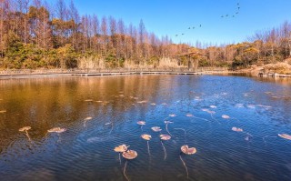 佳能35mm镜头 佳能35镜头拍风景吗