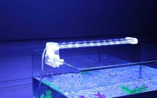  水族馆led灯「水族led灯与普通照明灯有区别吗」