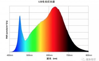 led白光波长-led灯白光波段