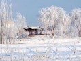 雪景用什么镜头好_雪景用什么镜头好呢