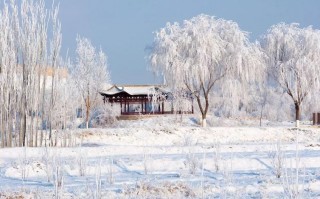 雪景用什么镜头好_雪景用什么镜头好呢