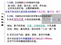 含光源和不含光源的区别 是否含光源是什么意思