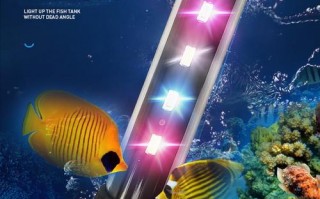  水族led灯闪烁故障「水族led灯闪烁故障怎么办」