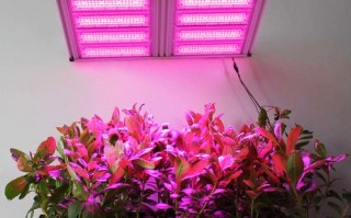  光学led植物灯北京「led植物灯公司」