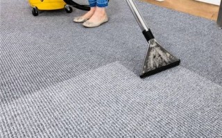  什么样的地毯可以用水洗「什么材质的地毯好清洗」