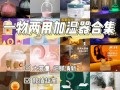 加湿器什么店里卖