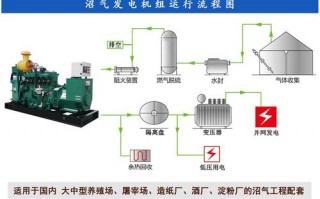 沼气发电机pc什么危害_沼气发电机原理图