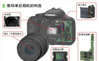 数码相机的镜头,数码相机的镜头分为什么 