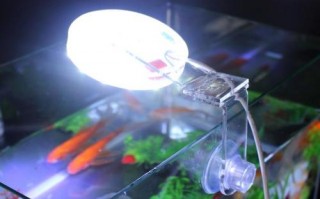  小鱼缸led灯耗电「鱼缸的灯浪费电吗」