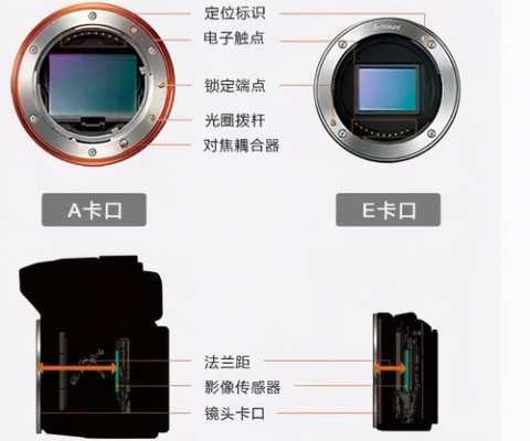 rf卡口 apsc rf卡口能接尼康镜头吗-第2张图片-DAWOOD LED频闪灯