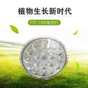 led灯能代替植物光照吗 led灯用来照植物-第1张图片-DAWOOD LED频闪灯