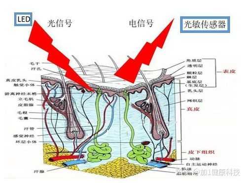 包含led灯检查皮肤发黑的词条-第1张图片-DAWOOD LED频闪灯