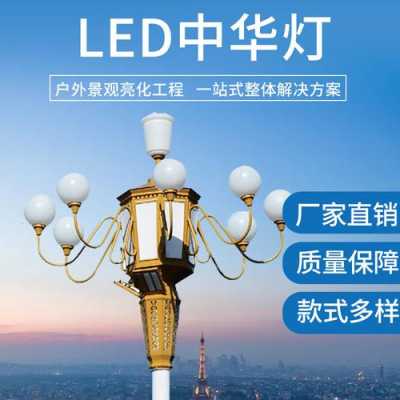 河南led灯杆定制,河南led灯生产厂家 -第3张图片-DAWOOD LED频闪灯