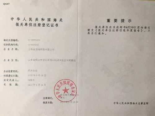 报关证的用途-报关证书名称是什么-第3张图片-DAWOOD LED频闪灯