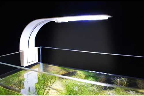 鱼缸灯具led灯进水,鱼缸led灯掉水里 -第1张图片-DAWOOD LED频闪灯