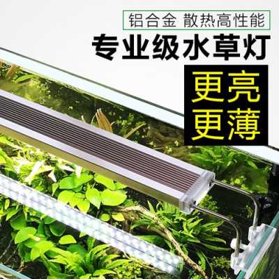 led灯条养水草,用普通led灯养水草 -第2张图片-DAWOOD LED频闪灯