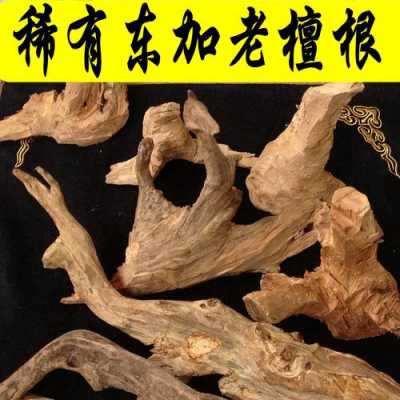 檀木的根是什么样的_檀木树根-第1张图片-DAWOOD LED频闪灯