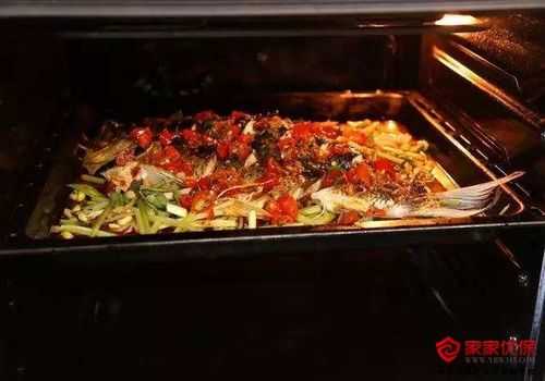 烤箱烤鱼多少升的合适-第1张图片-DAWOOD LED频闪灯