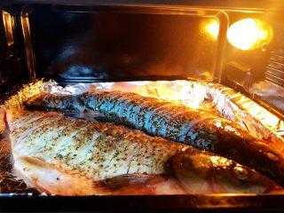 烤箱烤鱼多少升的合适-第3张图片-DAWOOD LED频闪灯