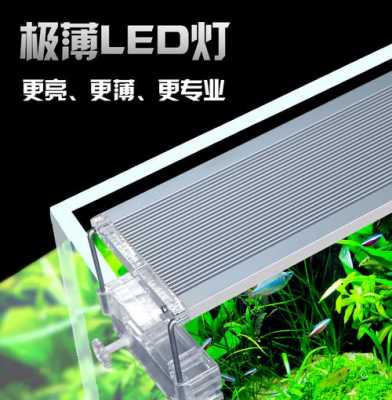 led水草灯支架品牌,led 水草灯 -第2张图片-DAWOOD LED频闪灯