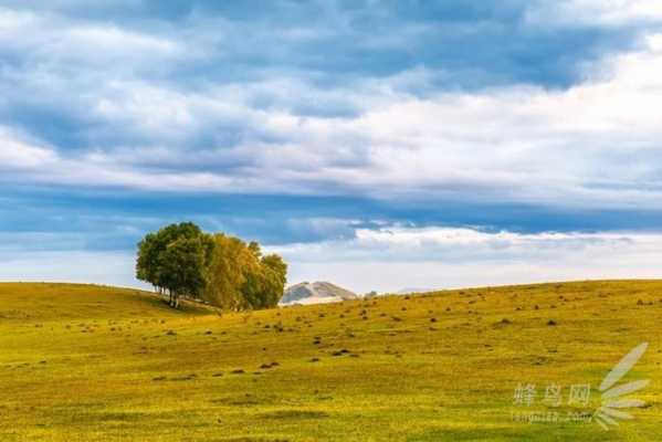 单反拍风景选什么镜头,单反拍风景的最佳参数组合 -第3张图片-DAWOOD LED频闪灯