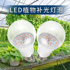 led种植灯代替太阳（led灯能代替阳光养花吗?）-第1张图片-DAWOOD LED频闪灯