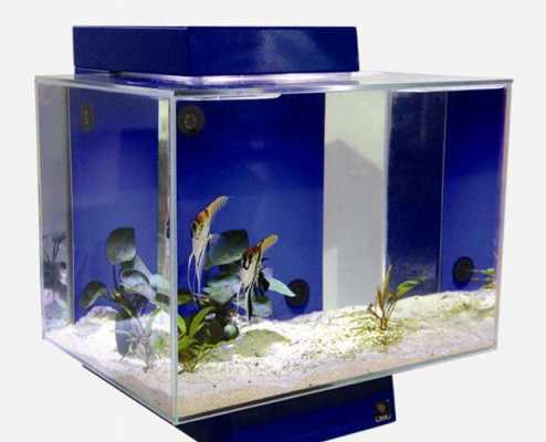 亚克力鱼缸为什么比玻璃贵-为什么亚克力鱼缸那么贵-第3张图片-DAWOOD LED频闪灯